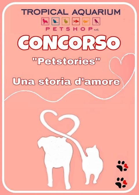 printpreview