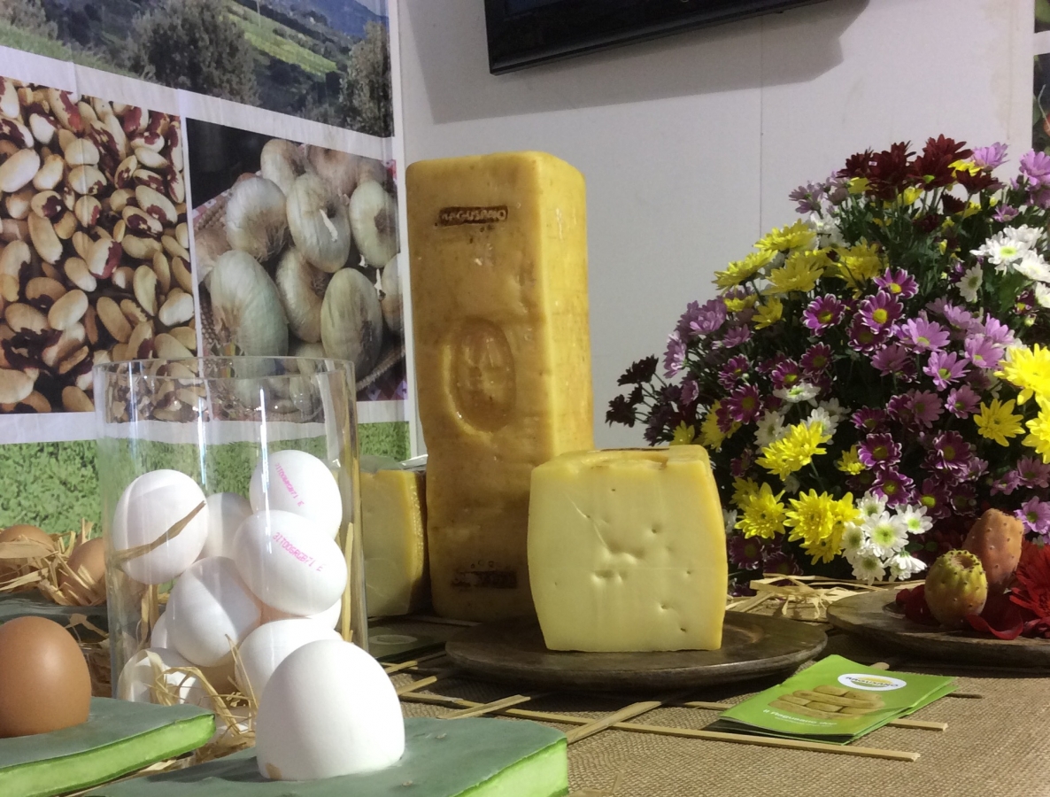 formaggi.jpg